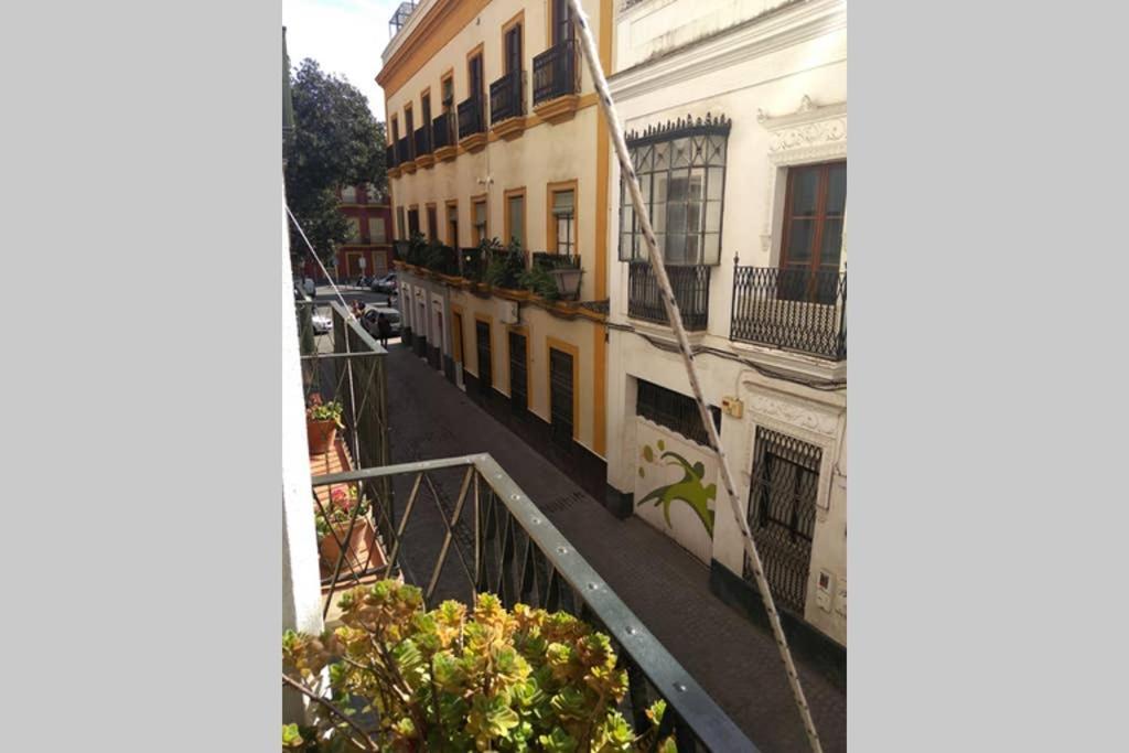 Centro Encarnacion 1º D *